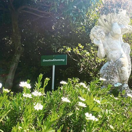 Il Motto Di Tommy Bed & Breakfast Castelveccana Eksteriør bilde